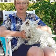 30 d' expérience en cabinet comptable , de la tenue jusqu'à la liasse fiscale, tout type de dossier BIC BNC, SCI