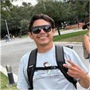 Profesor de nivel primaria con experiencia en nivel universitario