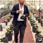 Docente universidad con licenciatura en ingeniería agronómica fitotecnista