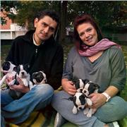 Cerco studenti max medie per insegnare inglese e Biologia