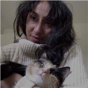 Italian teacher super experienced and very effective