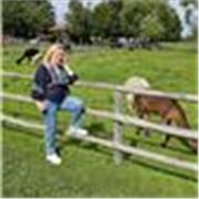 Individuelle Förderung und Coaching mit Förderplan für Kinder mit Lernschwierigkeiten und Aufmerksamkeitsproblemen