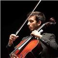Insegnante di musica offre lezioni di violoncello, storia della musica e solfeggio