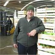 ex diplomato accountant con certificato AAT 2 al city college di norwich UK 1998, un anno di corso con esami finali