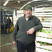 ex diplomato accountant con certificato AAT 2 al city college di norwich UK 1998, un anno di corso con esami finali