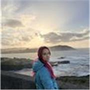 Profesora de infantil primaria con PT AL y mención en entorno 