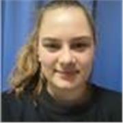 History to secondary school students, GCSE and A-level in History, giving online lessons from Swansea