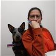 Maestro /a del idioma español. En línea