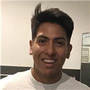 Profesor de apoyo en lengua castellana y literatura