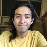 Acoustic guitar and musical skills