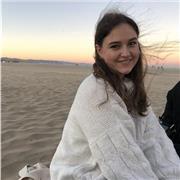 Mathe-Tutor, für alle Schulklassen / Kinder in jedem Altern