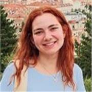 Affordable Private Portuguese Lessons (Online)