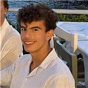 I give online lessons to GCSE and A-Level students taking Maths and/or Further Maths.