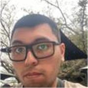 Profesor de matemáticas básicas online