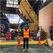 Matemáticas, historia, comunicación, ciencias ambiente