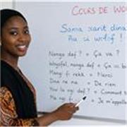 Cours de français en ligne niveau débutant ou avancé