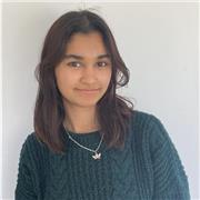 I provide lessons tailored towards students who are visual learners for either GCSE or A-level students