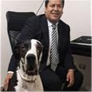 Apoyo en matemáticas para nivel primaria