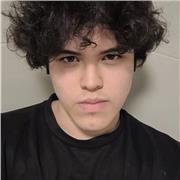 Amante de los idiomas, con nivel avanzado tanto en Inglés como en Francés