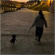 Sei alla ricerca di una tutor preparata? Non esitare a contattarmi per lezioni online e ambiente di apprendimento stimolante!