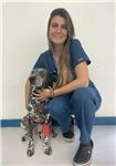 Profesor de Veterinaria, que se puede adaptar tanto a estudiantes de Veterinaria, Bienestar Animal, Técnico/Asistente Veterinario