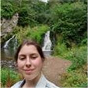 GCSE maths, GCSE french, GCSE physics or chemistry, GCSE astronomy