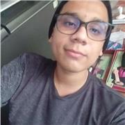 Profesor de informática primaria o secundaria, presencial u online