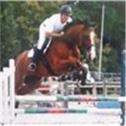 Moniteur d'équitation dans les ardennes