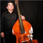 Clases de Bajo Eléctrico y Contrabajo Clásico/Popular