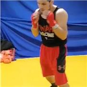 Entrenador de boxeo básico, intermedio, avanzados y recreativo