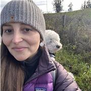 English Adventure. Learn with fun!