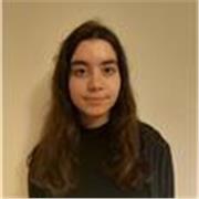 1st class mechanical engineering graduate with years of tutoring experience offers GCSE, primary and secondary maths tuition