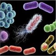 Clases para rendir parcial y final de Infectología. Soy médica especialista en Infectología graduada en la UNLP