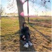 Profesora de inglés para niños y jóvenes, con mucho amor y voluntad