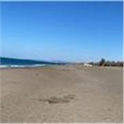 Studente di 5 liceo scientifico