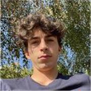 Studente di ingegneria del secondo anno impartisce ripetizioni online e a domicilio per materie scientifiche