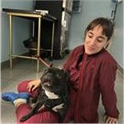 studentessa di medicina veterinaria offre ripetizioni di scienze e biologia