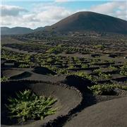 CLASES DE REFUERZO ESCOLAR