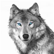 Étudiante en L2 Kinésithérapie donne des cours d'Anglais, Maths ou encore Physiques-chimie (plus d'autres matières si vous le souhaitez)