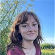 Dessin digital, traditionnel (Concept art, illustration, Character design)  