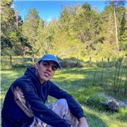 Clases de bachata sensual nivel inicio y medio