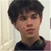 Current A level physics student, offering GCSE physics lessons