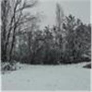 Hai bisogno di un aiuto con i compiti? Contattami e ti aiuterò con le materie che preferisci!