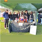 My lessons are aimed towards current secondary school students doing biology, chemistry or physics.