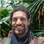 Offro la mia capacita´come traduttore e coach di lingue in italiano, Inglese, Spagnolo, Tedesco, Portoghese