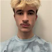 I can give private, personalised lessons on GCSE Level Mathematics.