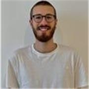 Studente laureando impartisce ripetizioni in storia e letteratura a studenti e studentesse delle scuole medie o licei