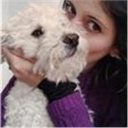 Profe de inglés online. Gramática, pronunciación, conversación. Inglés para cantantes