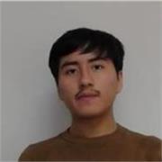 Profesor de inglés para el nivel básico: Enseñanza a estudiantes de primaria, secundaria, así como postulantes a la UNMSM y UNDAC