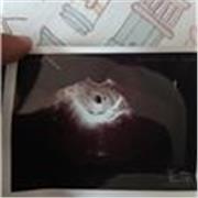 Profesor de apoyo en general para todos los cursos